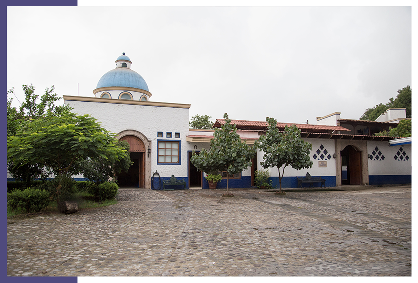 centro equino los alamitos